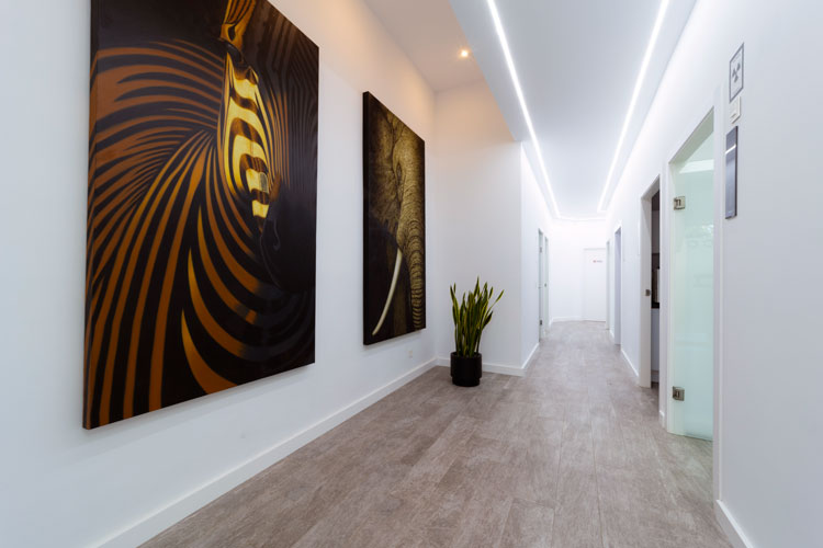 Herramientas dentales